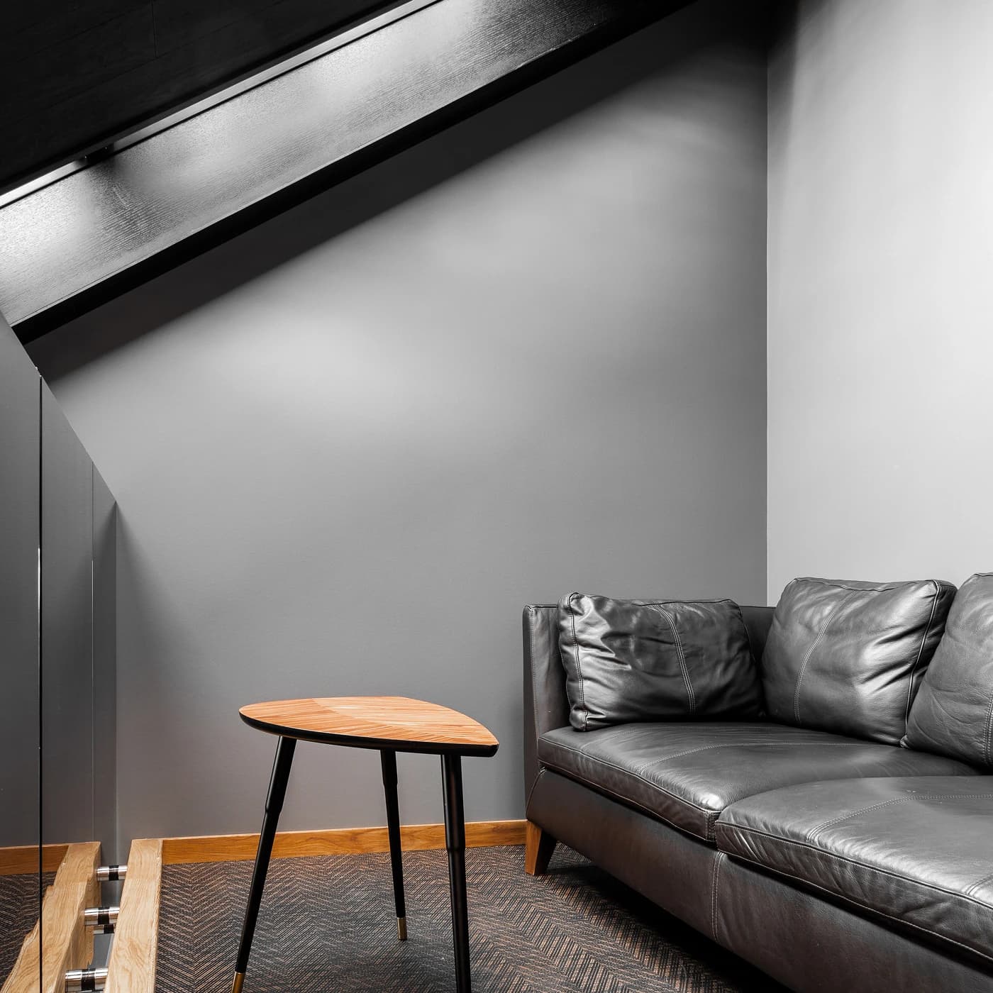 PPP-X MAX U41 ACMX - Opisy[1]