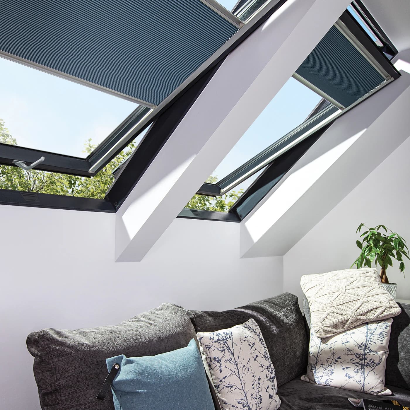 PTP-V P50 ACMX - Opisy[0]