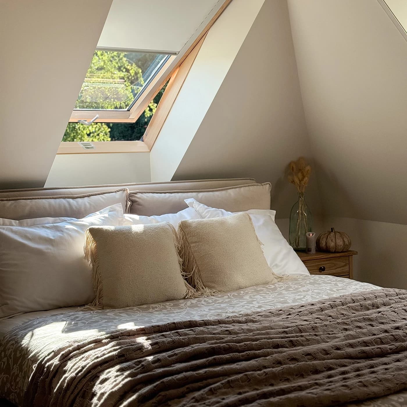 PTP-X P50 AIMX - Opisy[0]