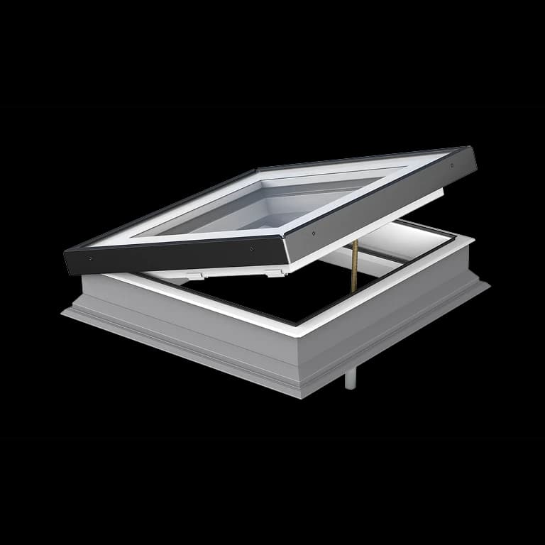 DMG P2 z białym stepem