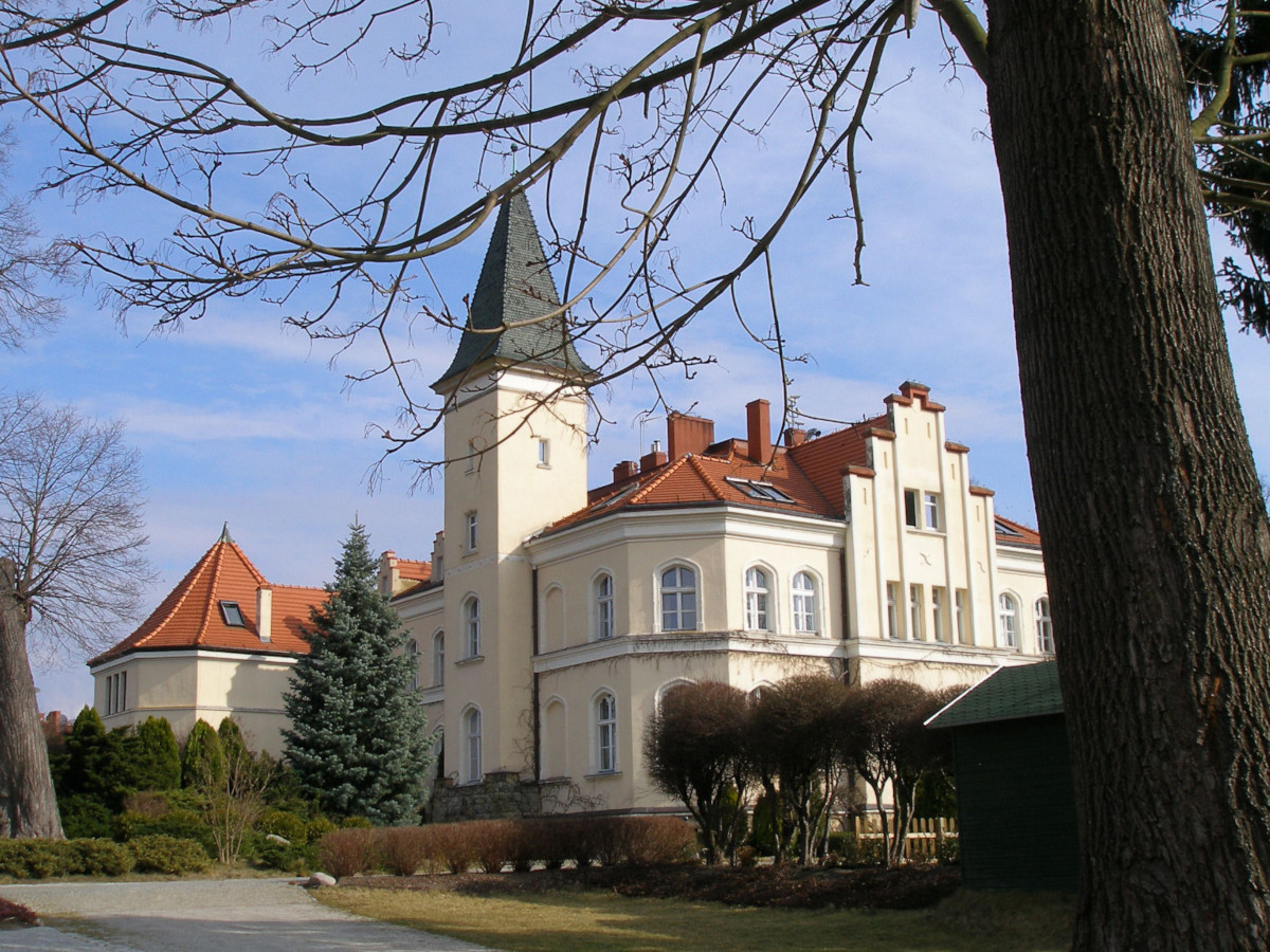 Widok z okien FAKRO na dwustuletni park