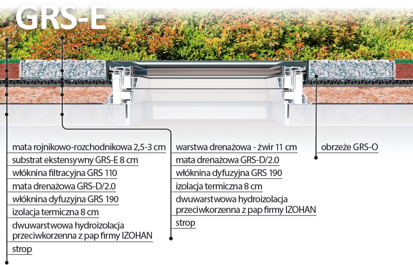 Dach Zielony Ekstensywny z oknem DXW